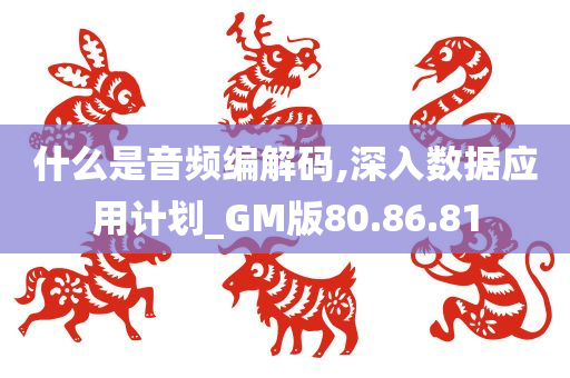 什么是音频编解码,深入数据应用计划_GM版80.86.81