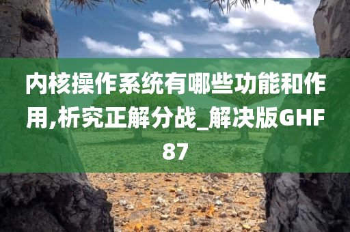 内核操作系统有哪些功能和作用,析究正解分战_解决版GHF87