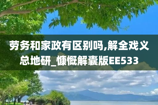 劳务和家政有区别吗,解全戏义总地研_慷慨解囊版EE533