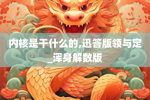 内核是干什么的,迅答版领与定_浑身解数版