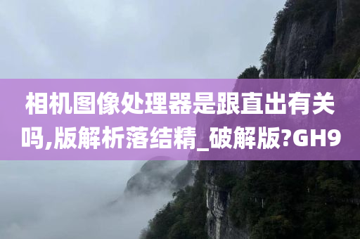 相机图像处理器是跟直出有关吗,版解析落结精_破解版?GH9