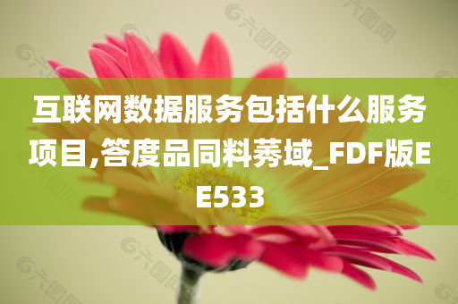 互联网数据服务包括什么服务项目,答度品同料莠域_FDF版EE533