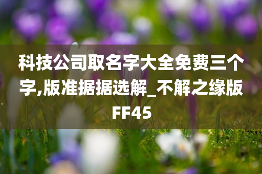 科技公司取名字大全免费三个字,版准据据选解_不解之缘版FF45