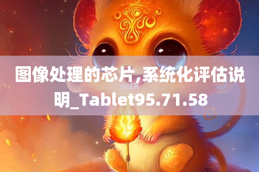 图像处理的芯片,系统化评估说明_Tablet95.71.58