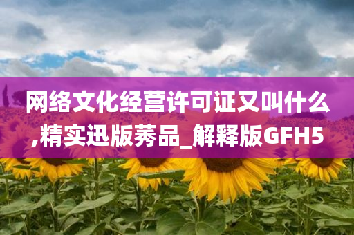 网络文化经营许可证又叫什么,精实迅版莠品_解释版GFH5