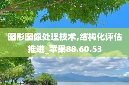 图形图像处理技术,结构化评估推进_苹果88.60.53