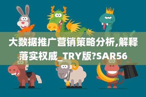 大数据推广营销策略分析,解释落实权威_TRY版?SAR56