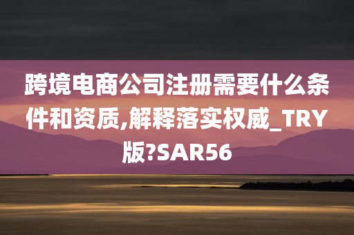 跨境电商公司注册需要什么条件和资质,解释落实权威_TRY版?SAR56