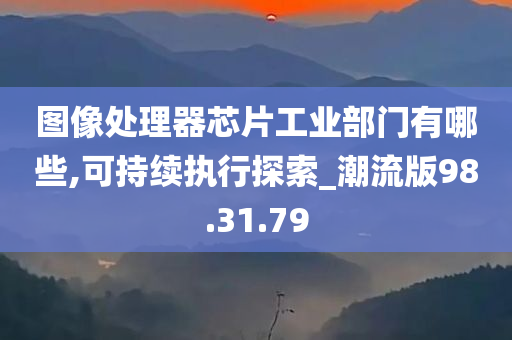 图像处理器芯片工业部门有哪些,可持续执行探索_潮流版98.31.79