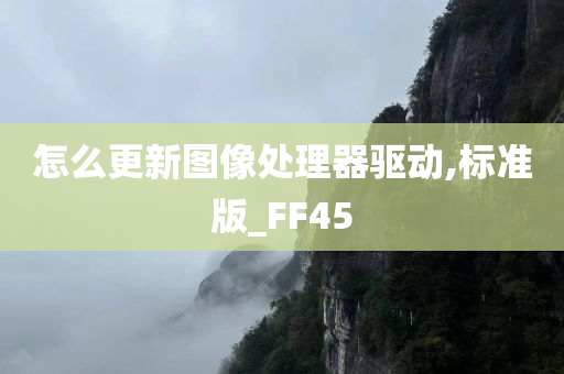 怎么更新图像处理器驱动,标准版_FF45