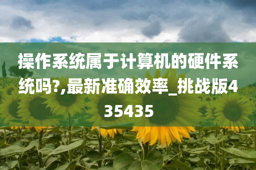 操作系统属于计算机的硬件系统吗?,最新准确效率_挑战版435435