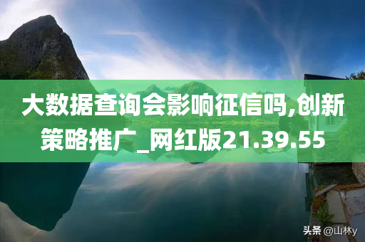 大数据查询会影响征信吗,创新策略推广_网红版21.39.55