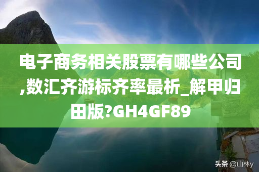 电子商务相关股票有哪些公司,数汇齐游标齐率最析_解甲归田版?GH4GF89