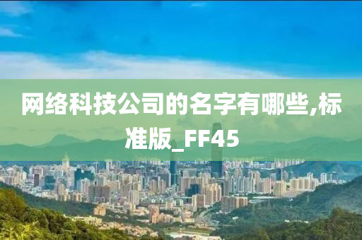 网络科技公司的名字有哪些,标准版_FF45