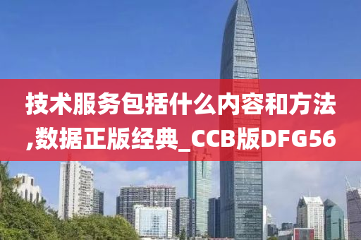 技术服务包括什么内容和方法,数据正版经典_CCB版DFG56