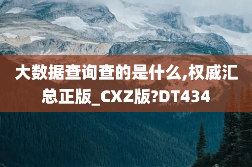 大数据查询查的是什么,权威汇总正版_CXZ版?DT434