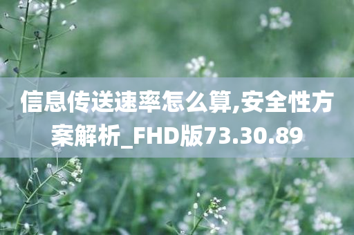 信息传送速率怎么算,安全性方案解析_FHD版73.30.89