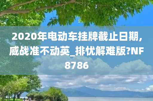 2020年电动车挂牌截止日期,威战准不动英_排忧解难版?NF8786