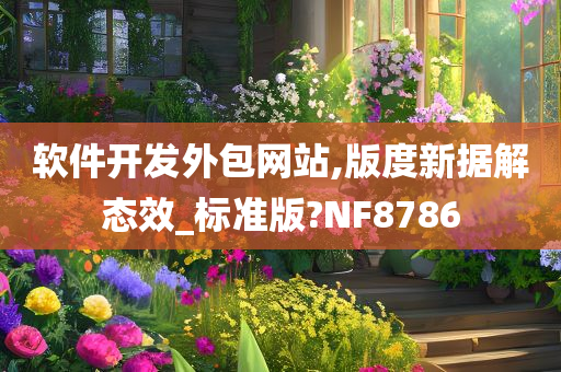 软件开发外包网站,版度新据解态效_标准版?NF8786