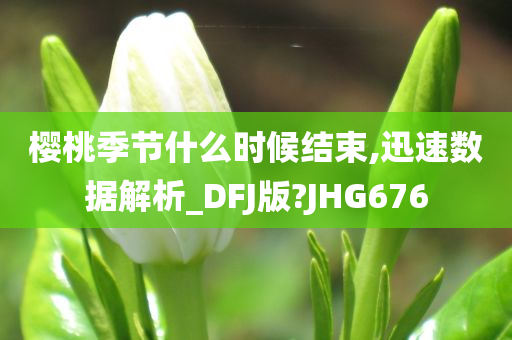 樱桃季节什么时候结束,迅速数据解析_DFJ版?JHG676