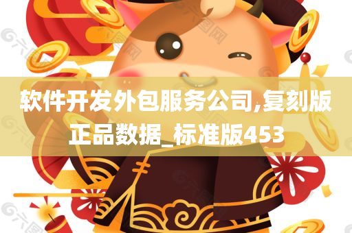 软件开发外包服务公司,复刻版正品数据_标准版453