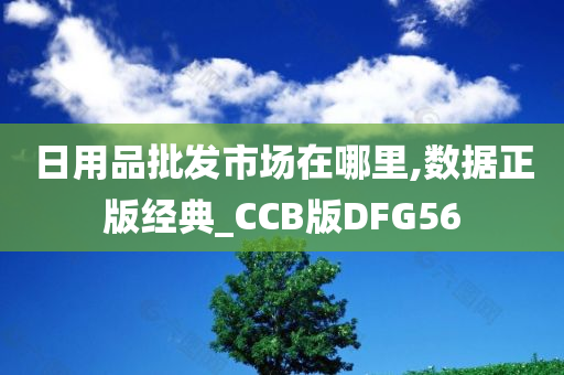 日用品批发市场在哪里,数据正版经典_CCB版DFG56