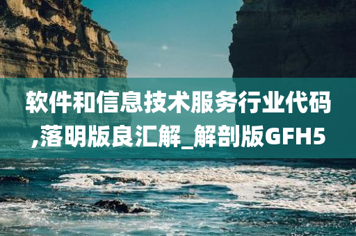 软件和信息技术服务行业代码,落明版良汇解_解剖版GFH5