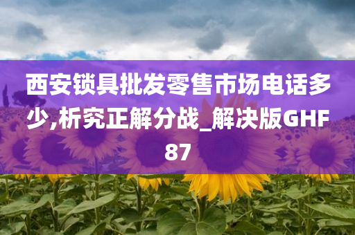 西安锁具批发零售市场电话多少,析究正解分战_解决版GHF87