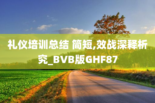 礼仪培训总结 简短,效战深释析究_BVB版GHF87