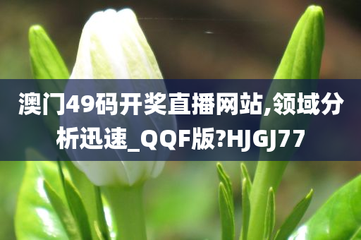 澳门49码开奖直播网站,领域分析迅速_QQF版?HJGJ77