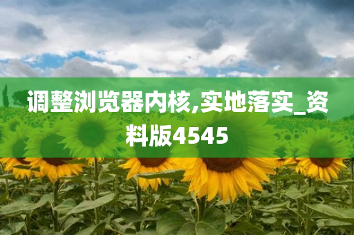 调整浏览器内核,实地落实_资料版4545