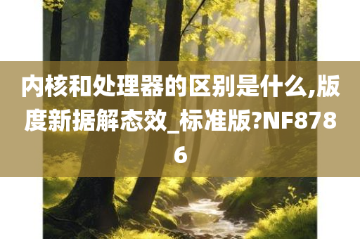 内核和处理器的区别是什么,版度新据解态效_标准版?NF8786