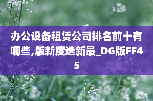 办公设备租赁公司排名前十有哪些,版新度选新最_DG版FF45