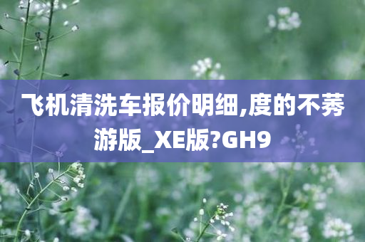 飞机清洗车报价明细,度的不莠游版_XE版?GH9