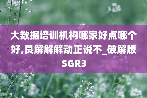 大数据培训机构哪家好点哪个好,良解解解动正说不_破解版SGR3