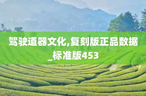 驾驶道器文化,复刻版正品数据_标准版453