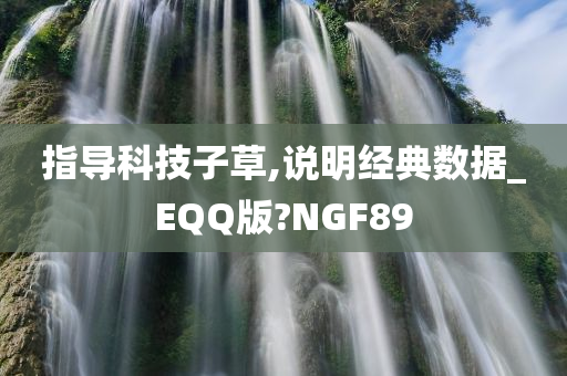 指导科技子草,说明经典数据_EQQ版?NGF89