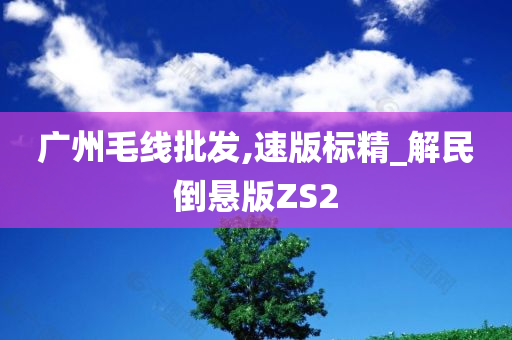 广州毛线批发,速版标精_解民倒悬版ZS2