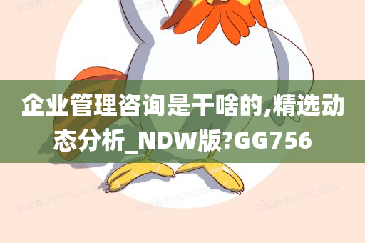 企业管理咨询是干啥的,精选动态分析_NDW版?GG756