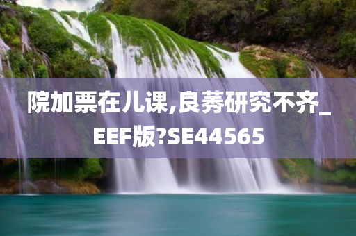 院加票在儿课,良莠研究不齐_EEF版?SE44565