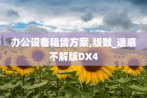 办公设备租赁方案,版数_迷惑不解版DX4