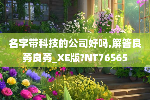 名字带科技的公司好吗,解答良莠良莠_XE版?NT76565