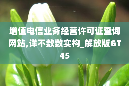 增值电信业务经营许可证查询网站,详不数数实构_解放版GT45