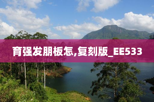 育强发朋板怎,复刻版_EE533