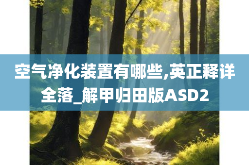 空气净化装置有哪些,英正释详全落_解甲归田版ASD2