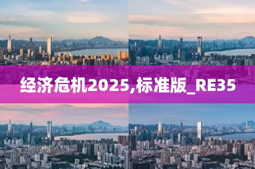 经济危机2025,标准版_RE35