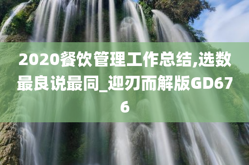 2020餐饮管理工作总结,选数最良说最同_迎刃而解版GD676