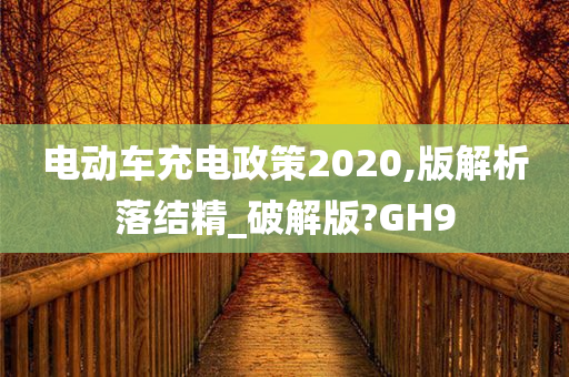 电动车充电政策2020,版解析落结精_破解版?GH9