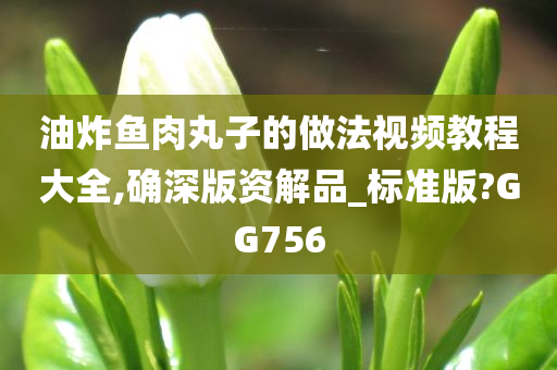 油炸鱼肉丸子的做法视频教程大全,确深版资解品_标准版?GG756