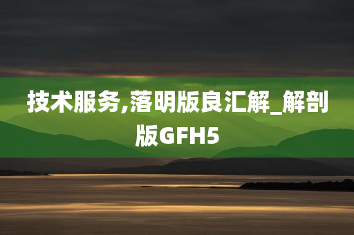 技术服务,落明版良汇解_解剖版GFH5